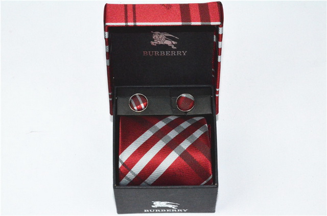 Burberry Ties 30